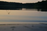 Jezioro Budzisławskie [ZDJĘCIA] 