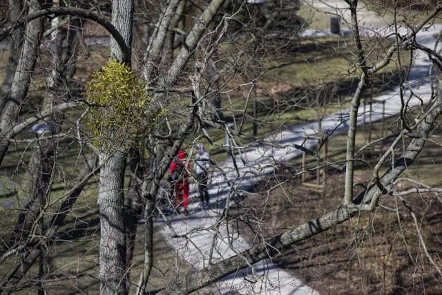 W miejscu cmentarza ewangelickiego przy Jagiellońskiej jest dziś Park Ludowy im. Witosa