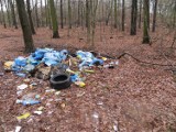 Sterty śmieci leżą w oleśnickich lasach. Leśnicy zapowiadają walkę ze śmiecącymi