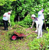 Park Grodowy w Sopocie. Powstanie system stałej opieki nad parkiem