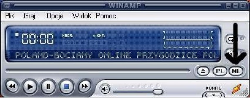 Screenshot programu Winamp