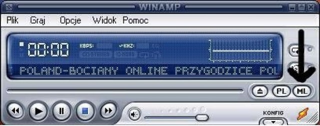 Screenshot programu Winamp