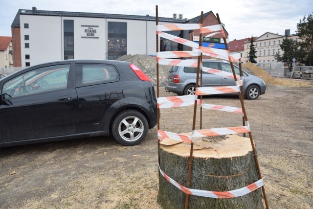 Z placu festynowego w centrum Olesna wycięto wszystkie drzewa.

W miejscu, w którym rosły drzewa, zrobiony zostanie parking obok rozbudowującej się galerii handlowej Nowe Stare Kino. 

Warunkiem zgody na wycinkę były nasadzenia następcze drzew. Nowe drzewa nasadzono jednak już nie na placu festynowym, ale w innych częściach miasta: przy ul. Powstańców Śląskich (obok cmentarza) oraz przy ul. Wachowskiej. 

Plac festynowy to potoczna nazwa niezabudowanej działki przy Wielkim Przedmieściu w Oleśnie. Utwardzona część służy jako targowisko, cała działka służy także jako bezpłatny parking. Podczas Dni Olesna jest tam wesołe miasteczko oraz namiot festynowy.

