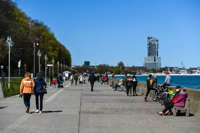 Do wypadku doszło w okolicach Bulwaru Nadmorskiego, na wysokości Browar Portu Gdynia (zdjęcie ilustracyjne)