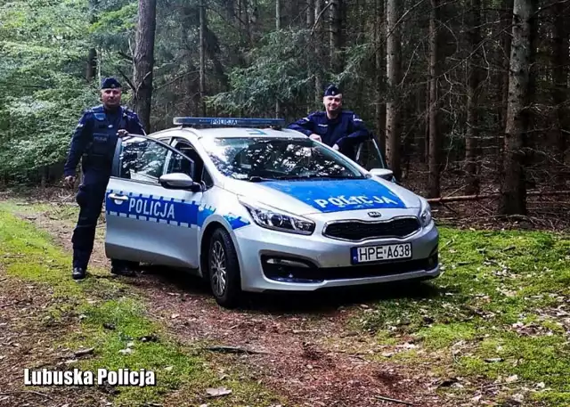 Myśliwy, który pechowo spadł z ambony,  miał jednak sporo szczęścia. Jego wołania o pomoc usłyszały dwie kobiety. W lesie już zmierzchało, a szanse, że ktoś go odnajdzie przed nadejściem nocy, malały z każdą minutą.  


Niebezpieczna sytuacja miała miejsce w piątek, 3 września. Mężczyzna wybrał się samotnie do lasu, pech chciał, że spadł kilka metrów z ambony. Nie był w stanie wstać, ani zadzwonić. Na szczęście był przytomny. 

Jego wołanie o pomoc dopiero godzinie usłyszały dwie kobiety. Powiadomiły policjantów. Dyżurny skierował w to miejsce patrol z Drezdenka. Po kilku minutach podkomisarz Emil Skrzypczak i posterunkowy Wojciech Ratajczak byli na miejscu. 

Od zgłaszających usłyszeli, że wołanie o pomoc słychać nieprzerwanie od kilku minut. Informacja potwierdziła się. Policjanci, idąc w kierunku dobiegających krzyków, znaleźli pod jedną z ambon leżącego mężczyznę. Uskarżał się na ból biodra.  

Mundurowi udzielili 71-latkowi pomocy przedmedycznej i wezwali na miejsce ratowników medycznych. Z uwagi na trudny teren policjanci wspólnie z ratownikami przenieśli na noszach rannego mężczyznę do karetki. Myśliwy został przewieziony do szpitala. 

Czytaj także: Tragiczny wypadek w czasie prac leśnych. W powiecie nowosolskim zginął pilarz

Wideo: Za co można dostać mandat podczas zbierania grzybów?

Źródło: Dzień Dobry TVN/x-news