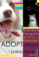 Wystawa fotografii "Adoptowane i pokochane"  