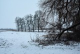 Obrazy śniegiem malowane. Zimowy spacer tuż przed zmrokiem –  tak wygląda Zamojszczyzna otulona białym puchem [ZDJĘCIA]