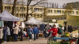 Tak było na giełdzie na Rąbinie w Inowrocławiu. Zobaczcie zdjęcia