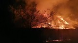 Powiat pucki: w Błądzikowie doszło do poważnego pożaru domu i składowiska drewna opałowego | ZDJĘCIA, NADMORSKA KRONIKA POLICYJNA