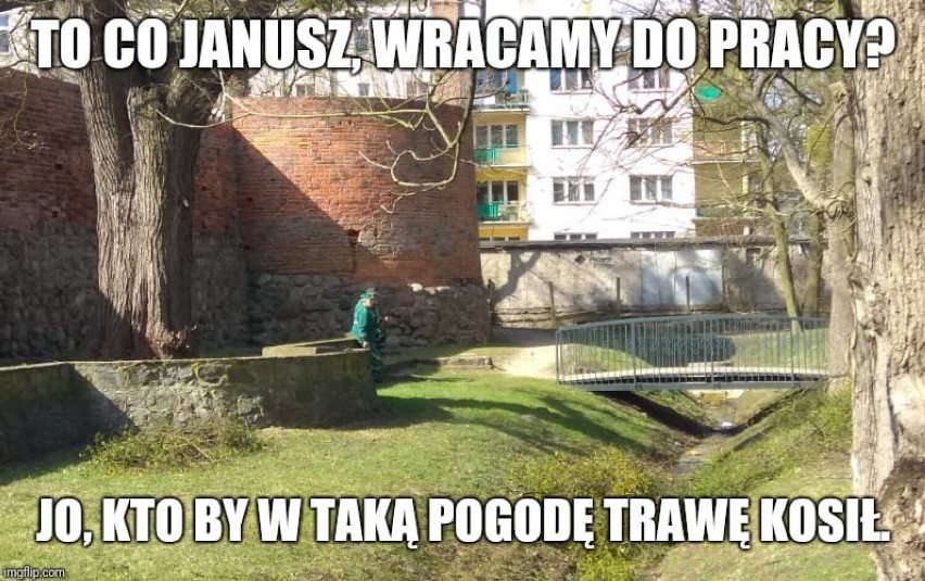 Tak internauci śmieją się z Brodnicy