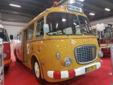 Od przedwojennego autobusu do Ikarusa i Jelcza. Już po TRANSEXPO [ZOBACZ ZDJĘCIA]