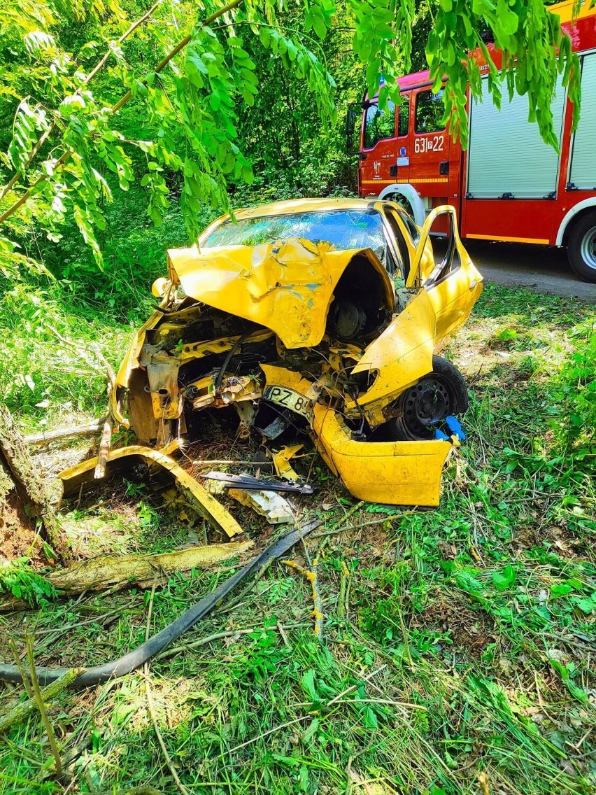 Wypadek pod Wągrowcem! Samochód uderzył w drzewo. Kierowca był pod wpływem alkoholu i nie posiadał prawa jazdy