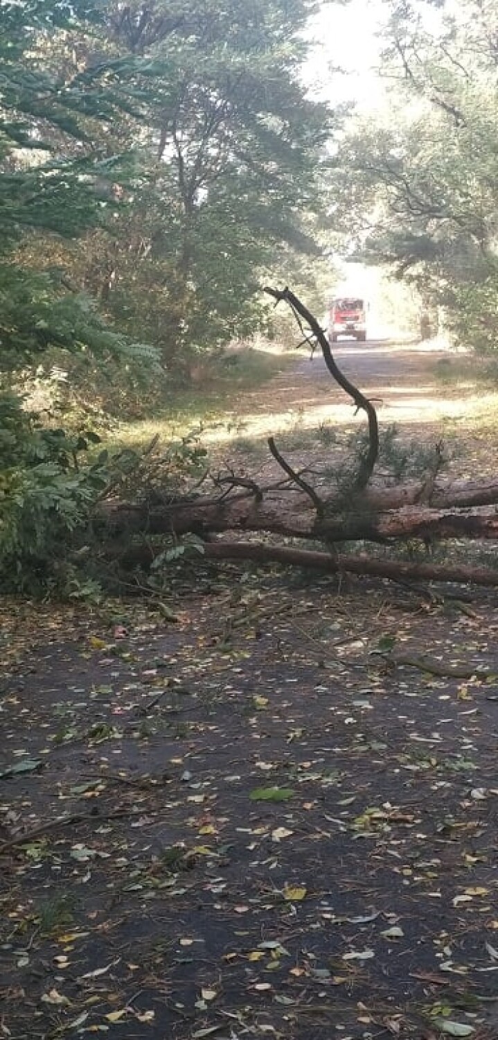 Kolejne zniszczenia na terenie gminy Lubin Strażacy z OSP interweniują