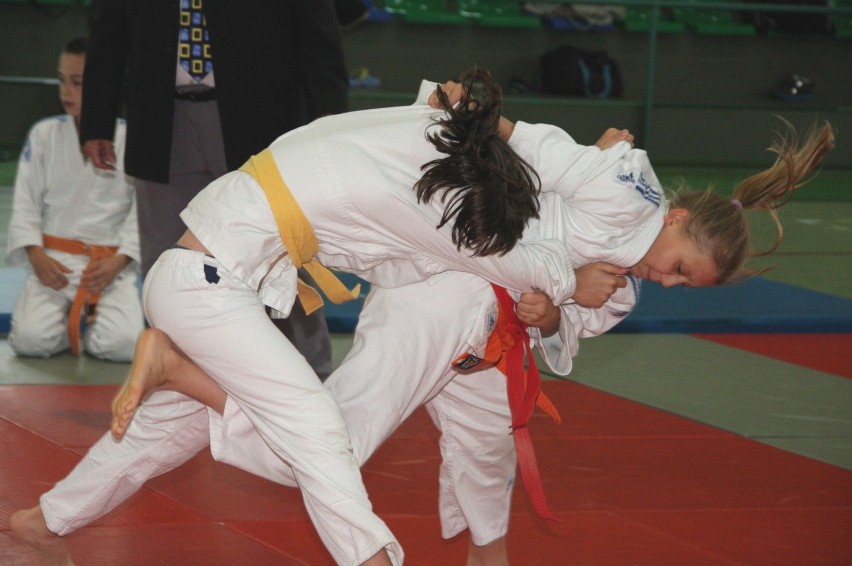 Puchar Wójta Gminy Świerklaniec w Judo