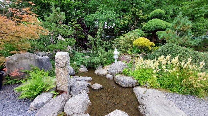 Miejsce z klimatem-Ogród Japoński w Przesiece