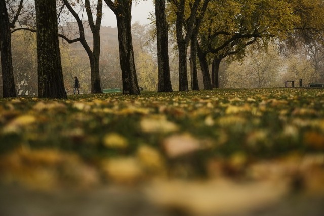 Prognoza pogody Łódź