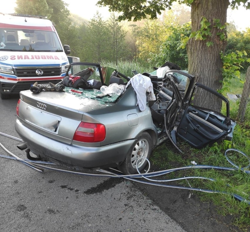 W Kochłowicach audi uderzyło w drzewa.