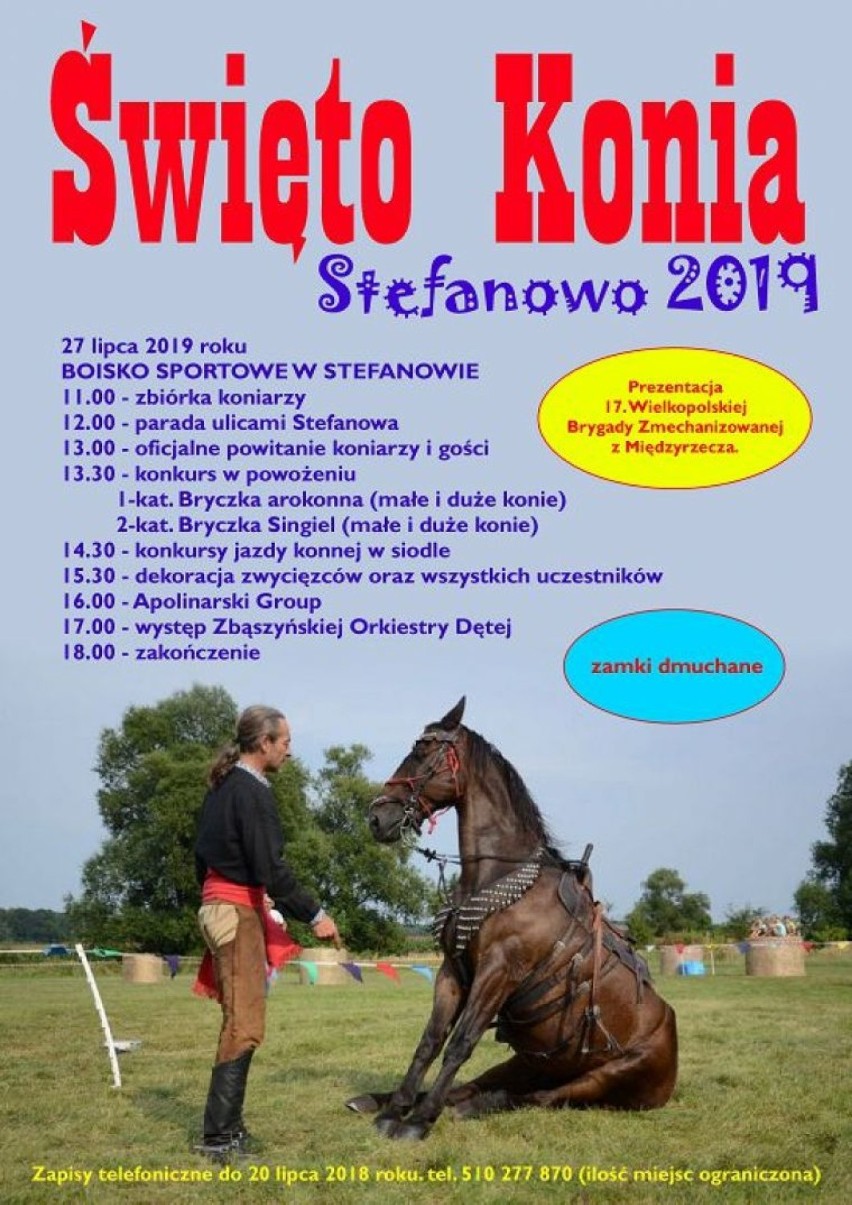 Święto Konia 2019