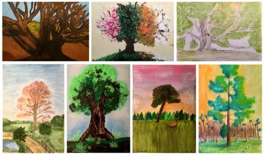 Najpiękniejsze portrety drzew wybrane!              
