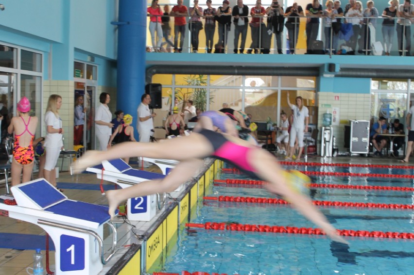 Zawody pływackie na basenie Swiewoda