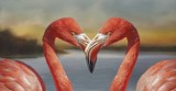  Flamingi. Piękne długonogie ptaki, żyjące w strefie klimatów ciepłych i gorących całego świata [Zdjęcia] 