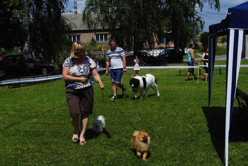 Wystawa psów rasowych w Rudnikach 2014