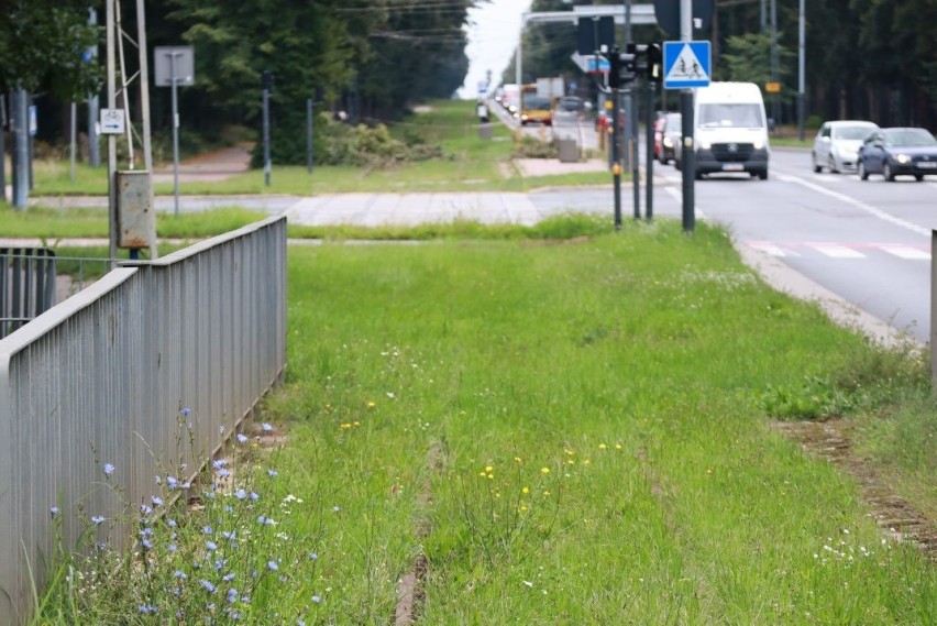 Tramwaj pojedzie z Łodzi do Konstantynowa po nowych szynach