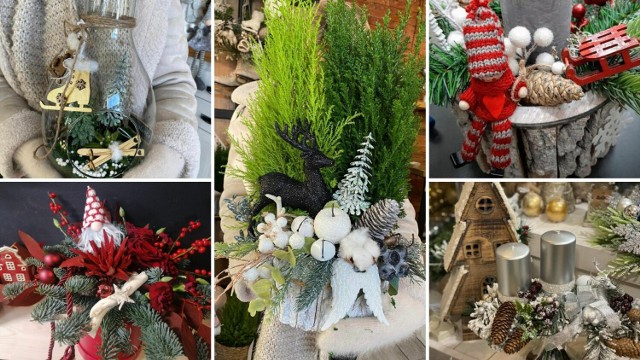 Zobaczcie w galerii propozycje najpiękniejszych dekoracji na Boże Narodzenie w formie stroika świątecznego przygotowanego przez florystki z Kujawsko-Pomorskiego
