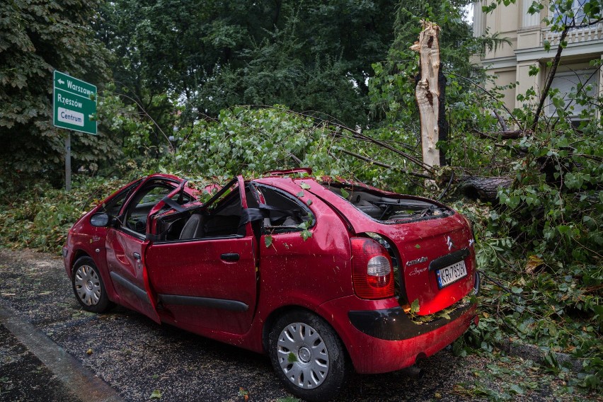 Kraków wypadek. Na ul. Czarnowiejskiej na auta spadły drzewa [ZDJĘCIA]