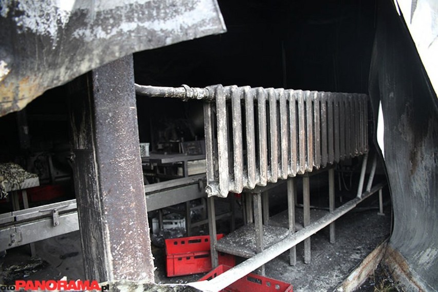 Leszno. Przełom w sprawie podpalenia fabryki artykułów spożywczych przy ulicy Wilkowickiej. Policja zatrzymała podejrzanych