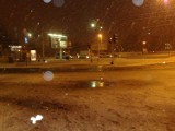 W Szczecinie "prawie" zima. Spadł śnieg [zdjęcia]