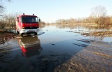 Powódź 2013: Alarm przeciwpowodziowy na Bystrzycy, Ślęzie i Widawie we Wrocławiu