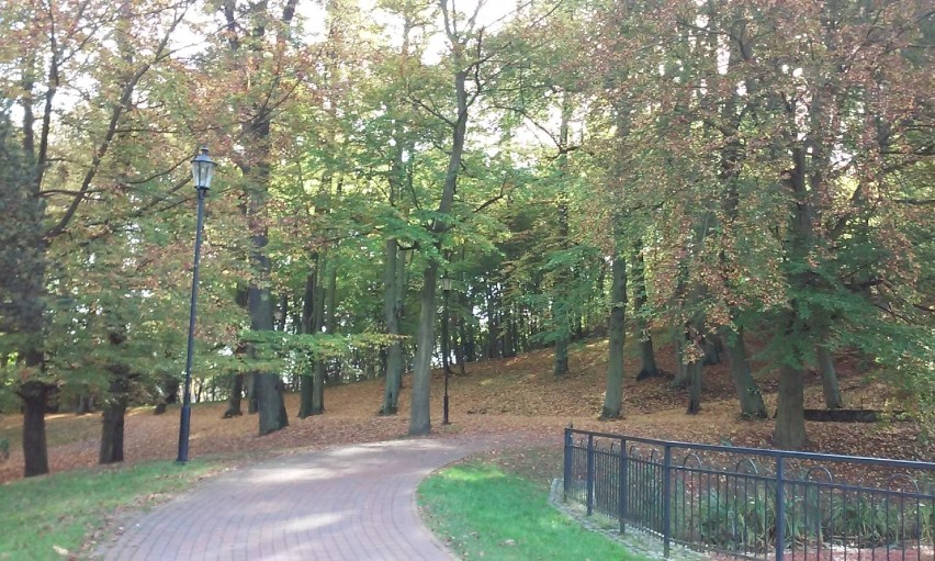 Jesień w Parku Oruńskim w Gdańsku