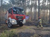 7 zastępów strażaków walczyło z ogniem w gminie Narew. Pod Gorodczynem spaliło się 3,5 hektara lasu [ZDJĘCIA]