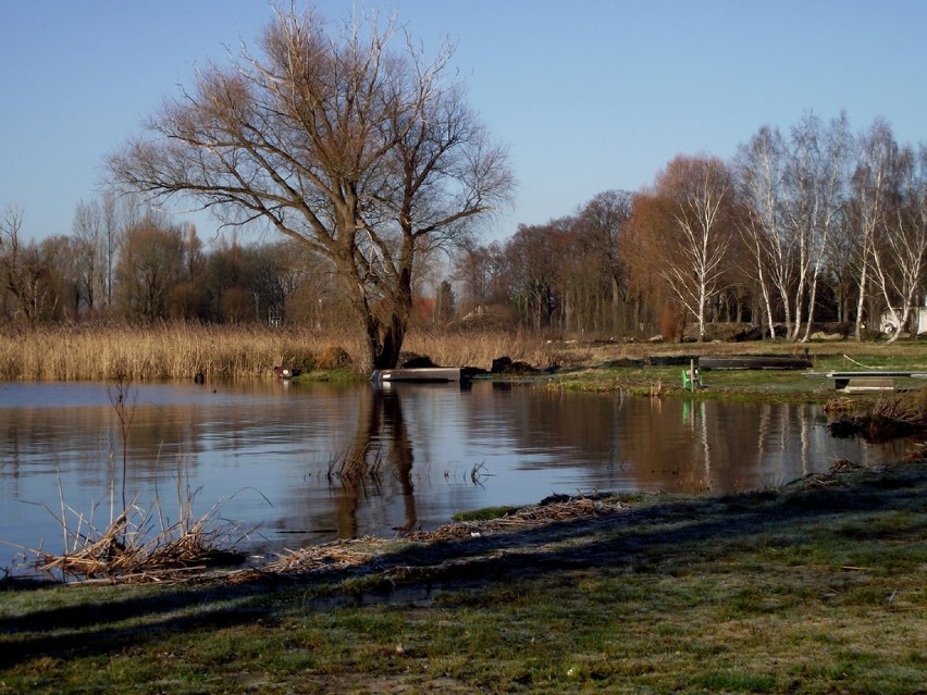 Zbąszyńskie Łazienki, w styczniowym słońcu. Zdjęcia - 8.01.2018 