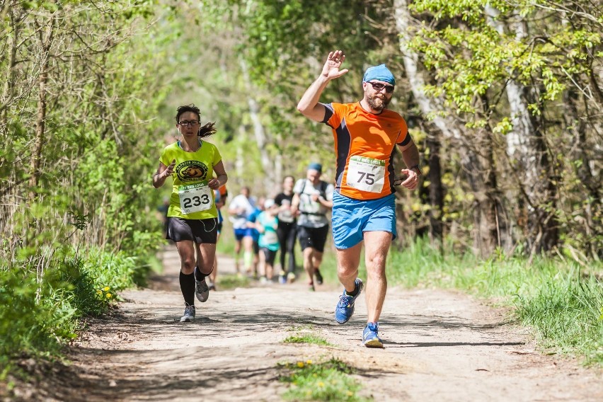 Naturalnie poprowadzona trasa II Ultramaratonu Kampinoskiego...