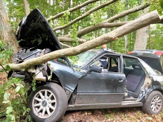 W wyniku wypadku 5 osób podróżujących autem trafiło do szpitali w Kwidzynie oraz Sztumie. Najmłodszy z tego grona, 16-latek, został przetransportowany śmigłowcem LPR do Starogardu Gdańskiego