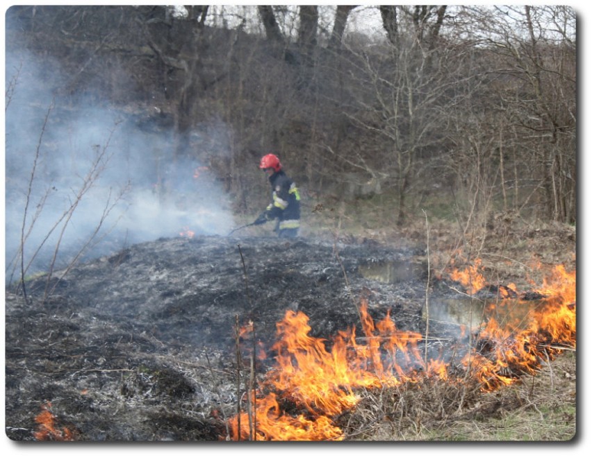 Strażacy z Olecka gasili pożary i zabezpieczali wypadki