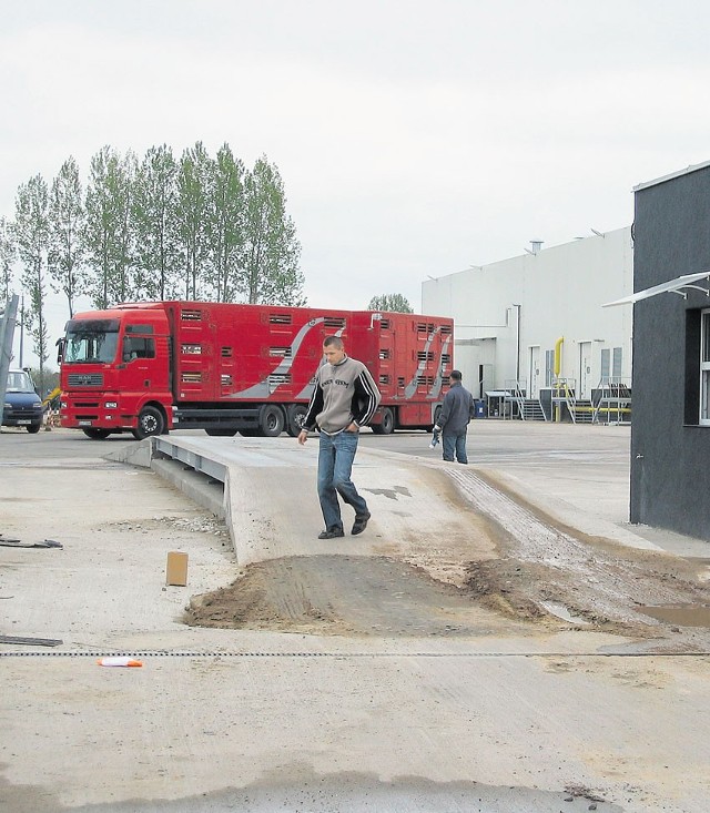 Pomimo zastrzeżeń, produkcji w Pini we wtorek nie zatrzymano