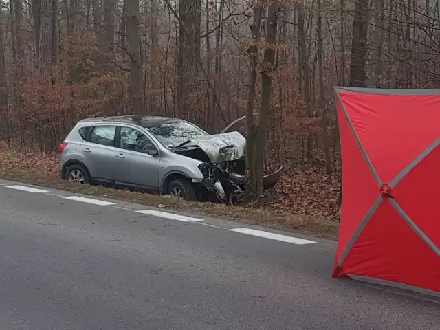 Śmiertelny wypadek na DW 716 między Rakowem a Moszczenicą.