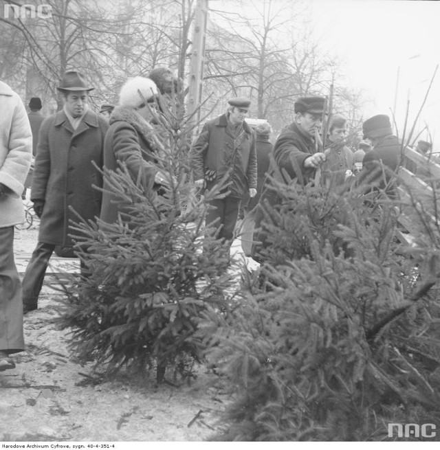 Choinka musi być, czyli warszawska walka o świąteczne drzewka. Archiwalne zdjęcia z lat 70.