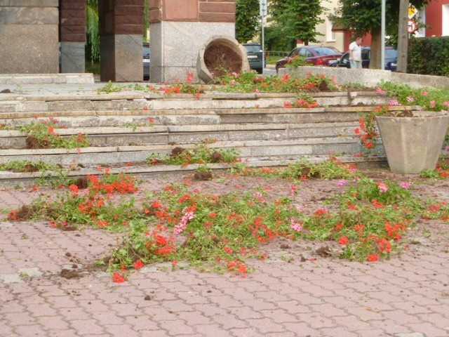 Wandale zdewastowali plac przy Urzędzie Stanu Cywilnego w Kraśniku