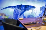 Lobster House, Warszawa: w centrum otwiera się ekskluzywna restauracja. W środku 7 akwariów ze skorupiakami z całej Europy