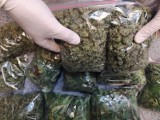 Marihuana na suszarce do odzieży. Mieszkaniec Leszna wpadł z 3,5 kilogramami