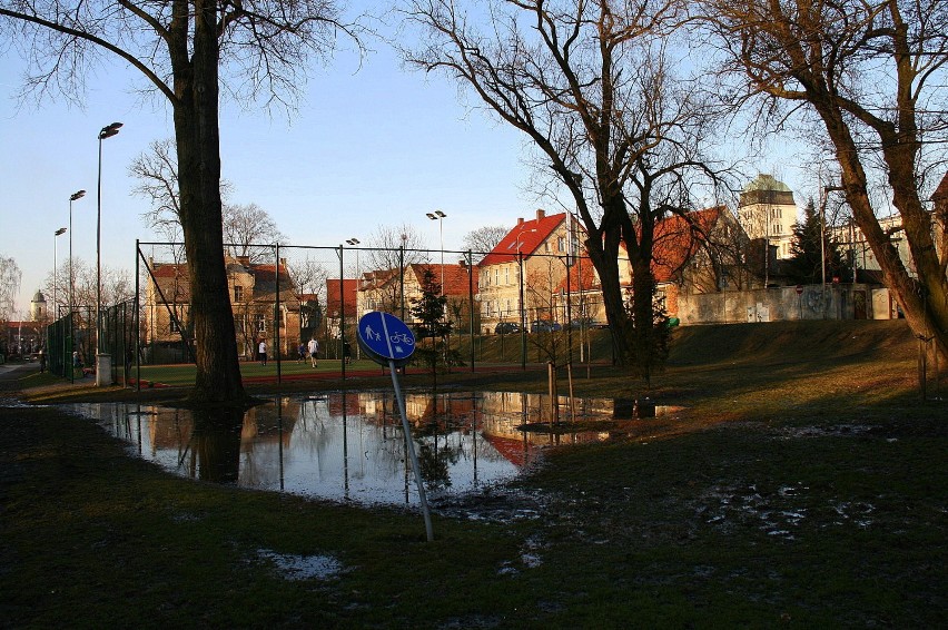 Rozlewiska w Parku Sowińskiego w słońcu wyglądają...
