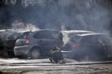 W Tychach spłonęły samochody - trwa śledztwo. Policja apeluje do świadków