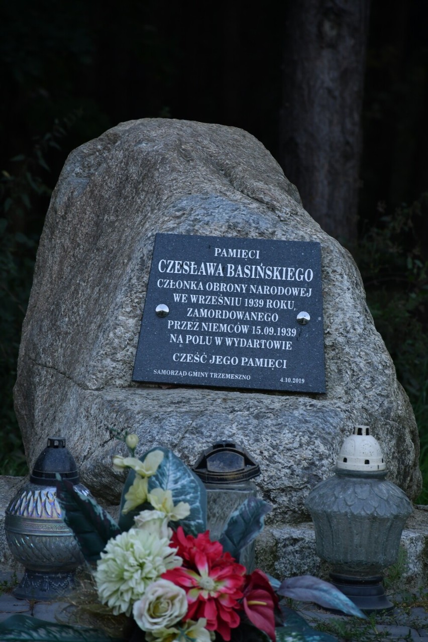 Gmina Trzemeszno. Punkt widokowy w Dusznie. Te panoramy zachwycają! [FOTO]