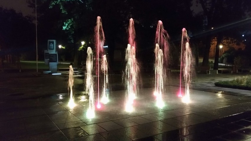 W Parku Sowińskiego wieczorową porą [ZDJĘCIA]