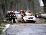 Lębork. Chcą wycinki drzew przy drogach