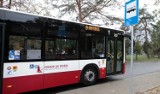 Jak pojadą autobusy MZK na Wszystkich Świętych w Opolu 